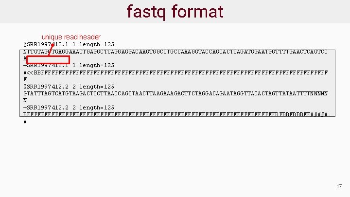 fastq format unique read header @SRR 1997412. 1 1 length=125 NTTGTAGCTGAGGAAACTGAGGCTCAGGAGGACAAGTGGCCTGCCAAAGGTACCAGCACTCAGATGGAATGGTTTTGAACTCAGTCC A +SRR 1997412.