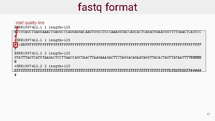 fastq format start quality line @SRR 1997412. 1 1 length=125 NTTGTAGCTGAGGAAACTGAGGCTCAGGAGGACAAGTGGCCTGCCAAAGGTACCAGCACTCAGATGGAATGGTTTTGAACTCAGTCC A +SRR 1997412.