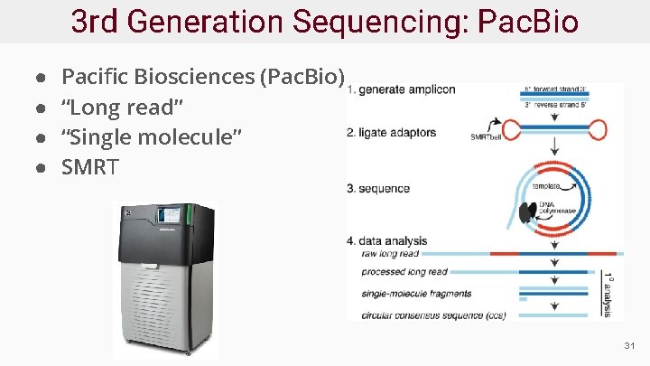 3 rd Generation Sequencing: Pac. Bio ● ● Pacific Biosciences (Pac. Bio) “Long read”