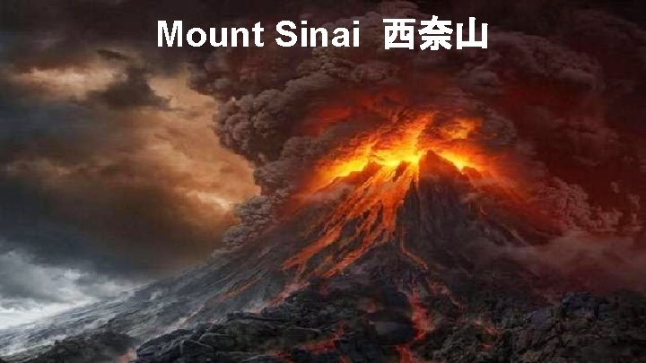 Mount Sinai 西奈山 