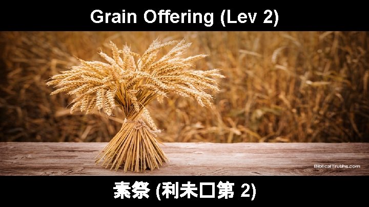 Grain Offering (Lev 2) 素祭 (利未�第 2) 