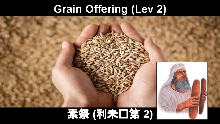 Grain Offering (Lev 2) 素祭 (利未�第 2) 