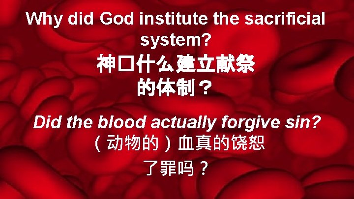 Why did God institute the sacrificial system? 神�什么建立献祭 的体制？ Did the blood actually forgive