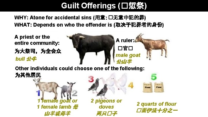 Guilt Offerings (�愆祭) WHY: Atone for accidental sins (用意：�无意中犯的罪) WHAT: Depends on who the