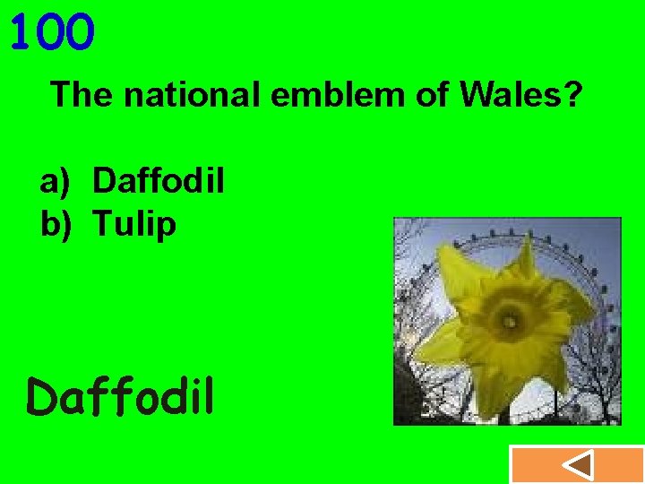 100 The national emblem of Wales? a) Daffodil b) Tulip Daffodil 