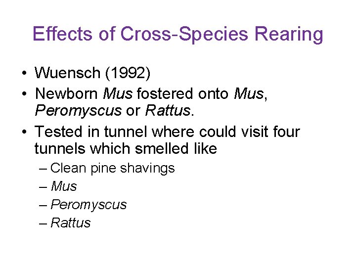 Effects of Cross-Species Rearing • Wuensch (1992) • Newborn Mus fostered onto Mus, Peromyscus