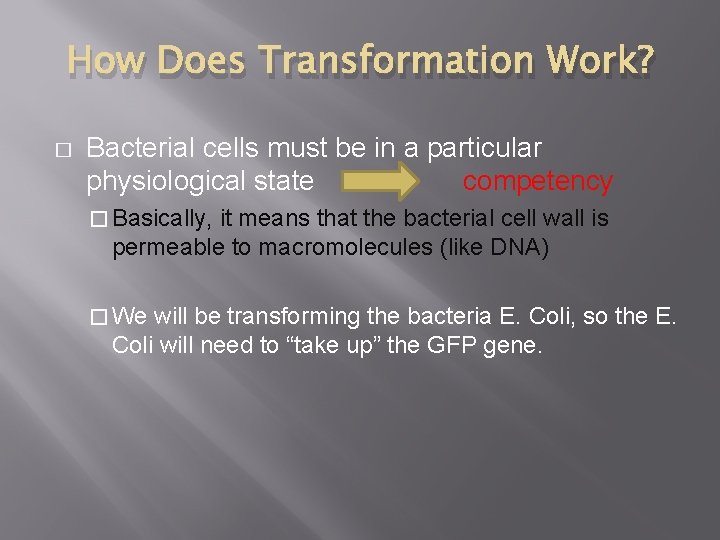 How Does Transformation Work? � Bacterial cells must be in a particular physiological state
