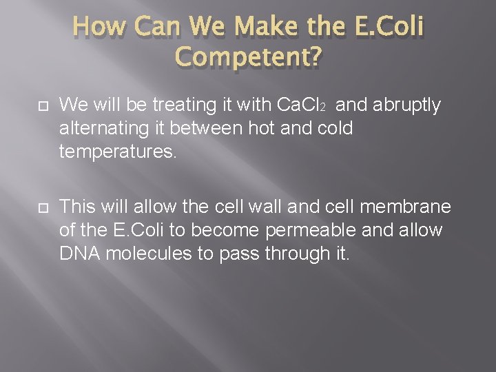 How Can We Make the E. Coli Competent? We will be treating it with