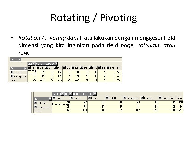 Rotating / Pivoting • Rotation / Pivoting dapat kita lakukan dengan menggeser field dimensi