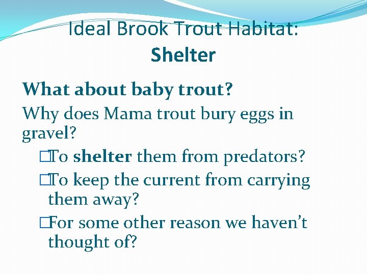 Ideal Brook Trout Habitat: Shelter What about baby trout? Why does Mama trout bury