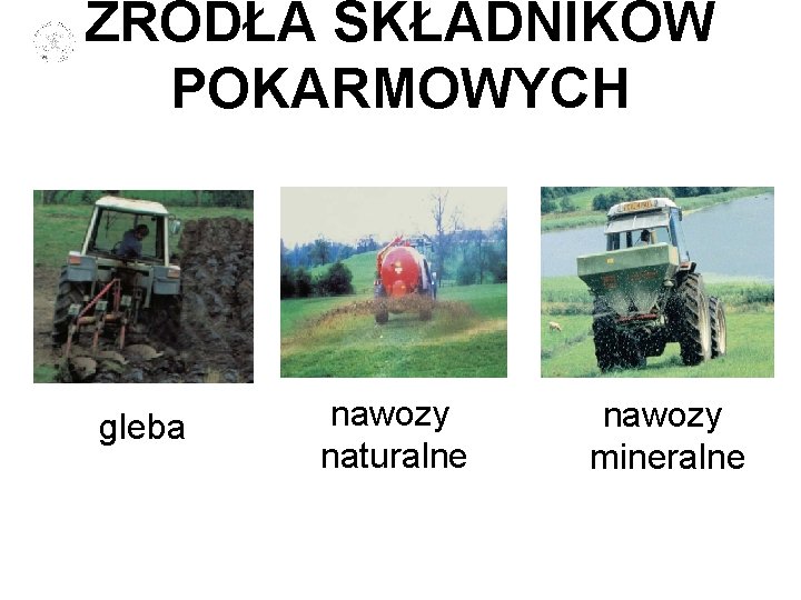 ŹRÓDŁA SKŁADNIKÓW POKARMOWYCH gleba nawozy naturalne nawozy mineralne 5 