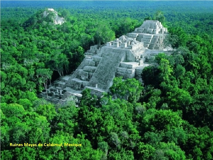 Ruines Mayas de Calakmul, Mexique 