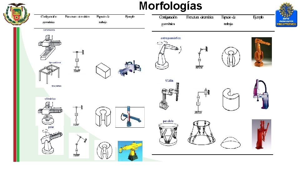 Morfologías 