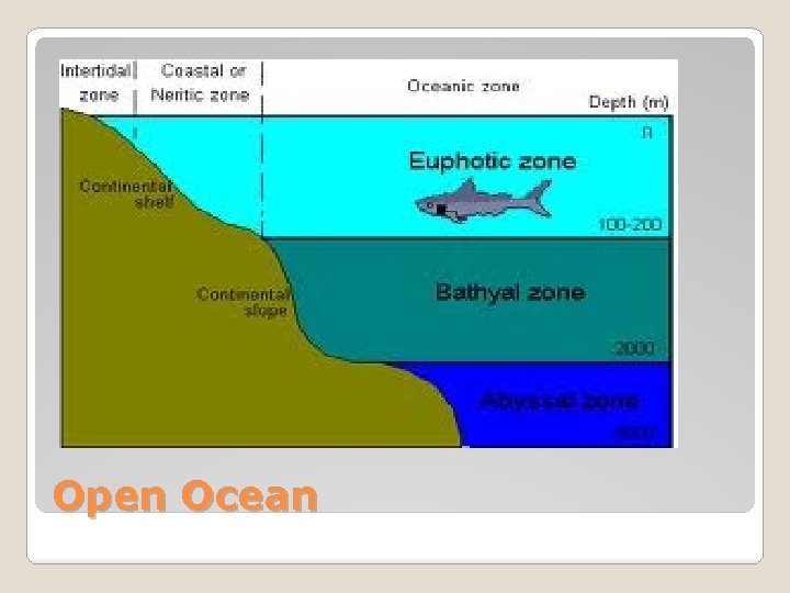 Open Ocean 