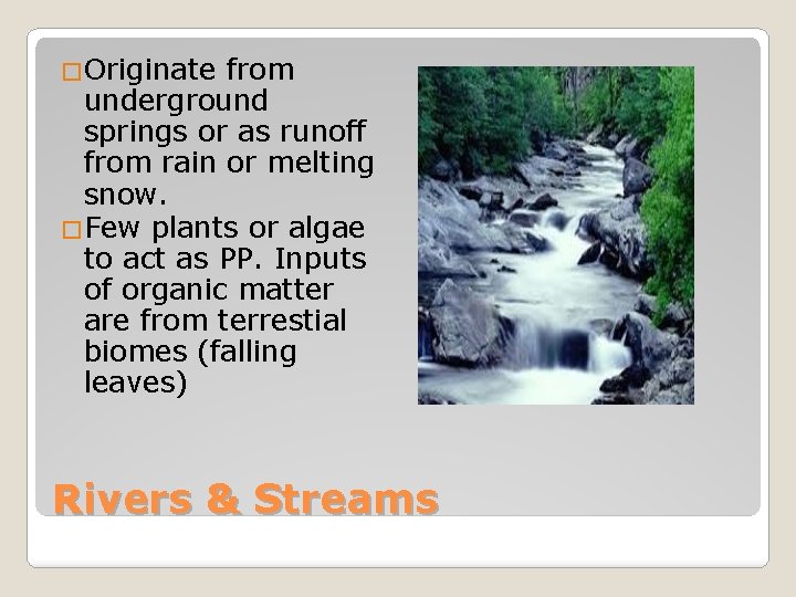 �Originate from underground springs or as runoff from rain or melting snow. �Few plants