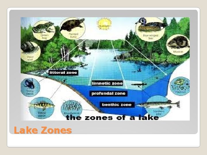 Lake Zones 