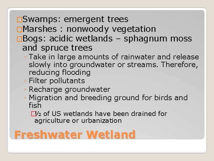 �Swamps: emergent trees �Marshes : nonwoody vegetation �Bogs: acidic wetlands – sphagnum and spruce