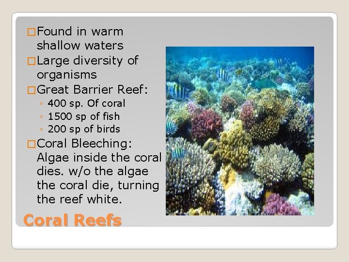 � Found in warm shallow waters � Large diversity of organisms � Great Barrier