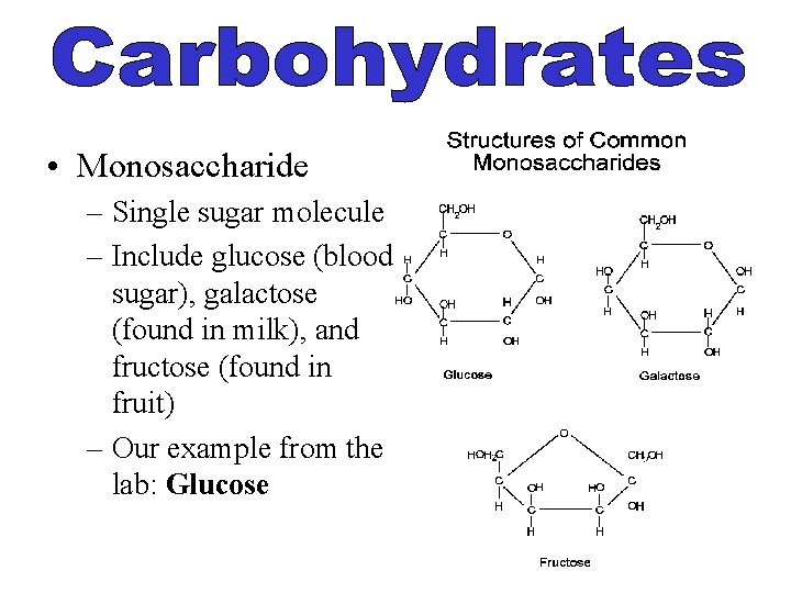  • Monosaccharide – Single sugar molecule – Include glucose (blood sugar), galactose (found
