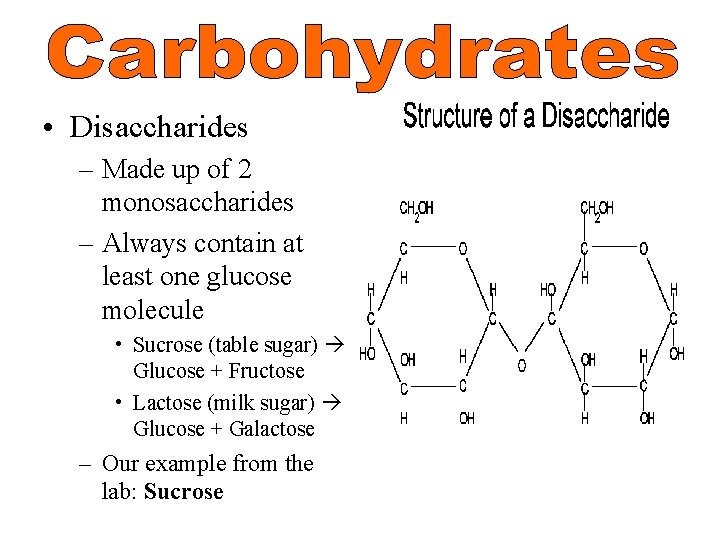  • Disaccharides – Made up of 2 monosaccharides – Always contain at least