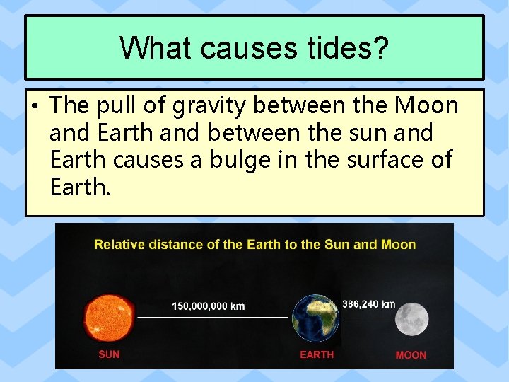 What causes tides? • The pull of gravity between the Moon and Earth and