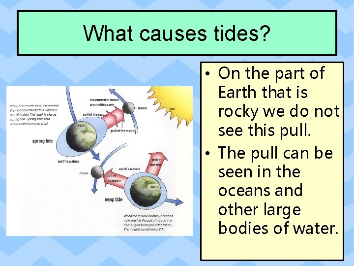 What causes tides? • On the part of Earth that is rocky we do