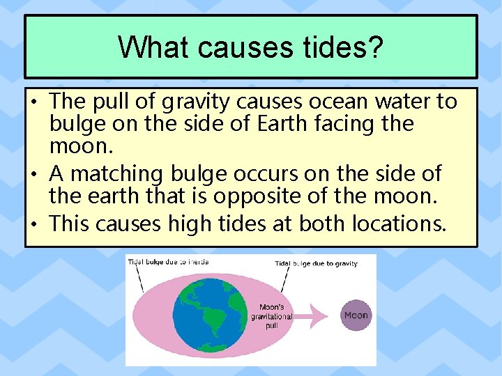 What causes tides? • The pull of gravity causes ocean water to bulge on