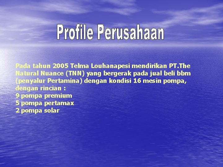 Pada tahun 2005 Telma Louhanapesi mendirikan PT. The Natural Nuance (TNN) yang bergerak pada Pada tahun 2005 Telma Louhanapesi mendirikan PT. The Natural Nuance (TNN) yang bergerak pada