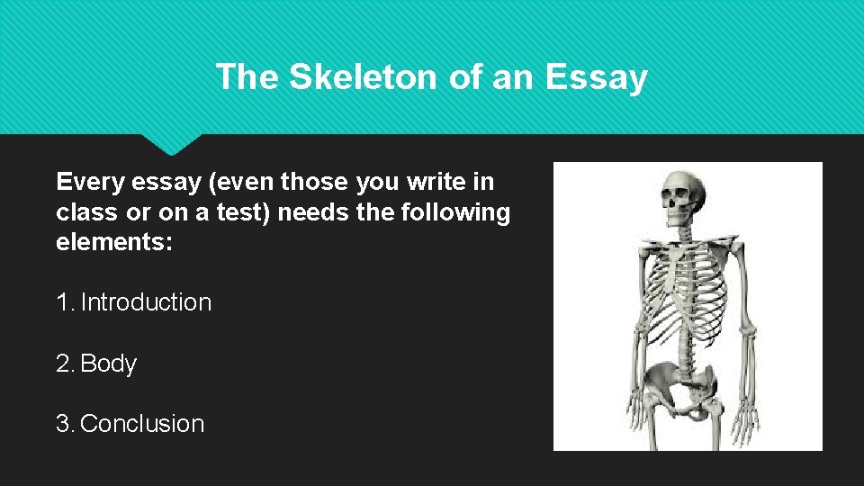 The Skeleton of an Essay Every essay (even those you write in class or