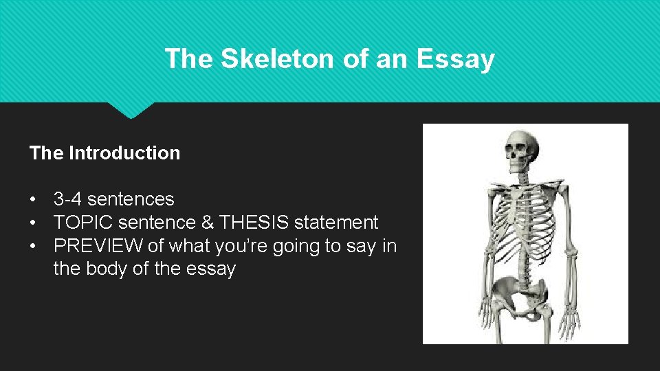 The Skeleton of an Essay The Introduction • 3 -4 sentences • TOPIC sentence