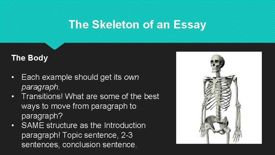 The Skeleton of an Essay The Body • Each example should get its own