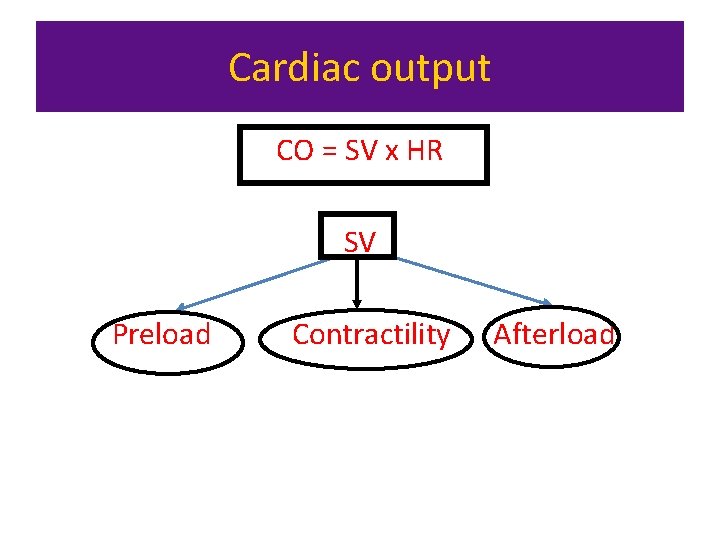 Cardiac output CO = SV x HR SV Preload Contractility Afterload 