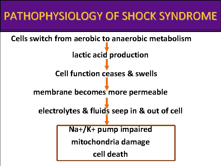 PATHOPHYSIOLOGY OF SHOCK SYNDROME Cells switch from aerobic to anaerobic metabolism lactic acid production