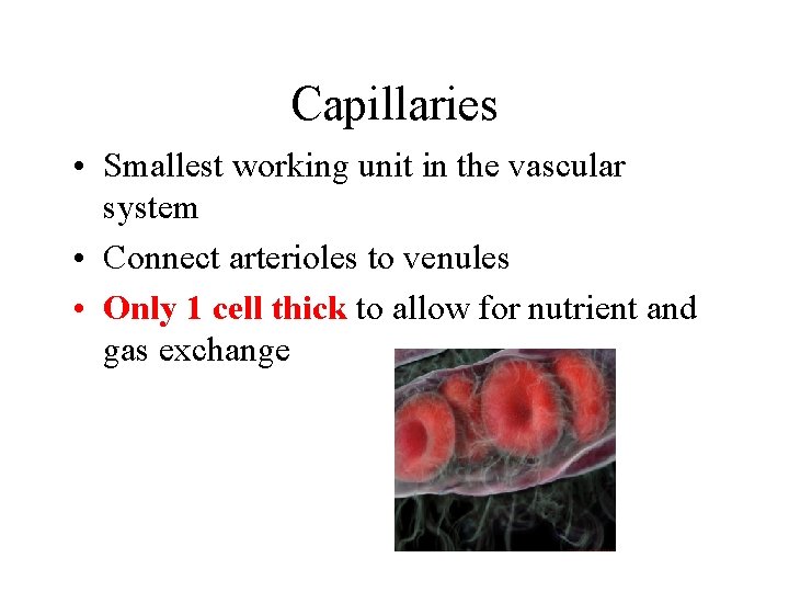 Capillaries • Smallest working unit in the vascular system • Connect arterioles to venules