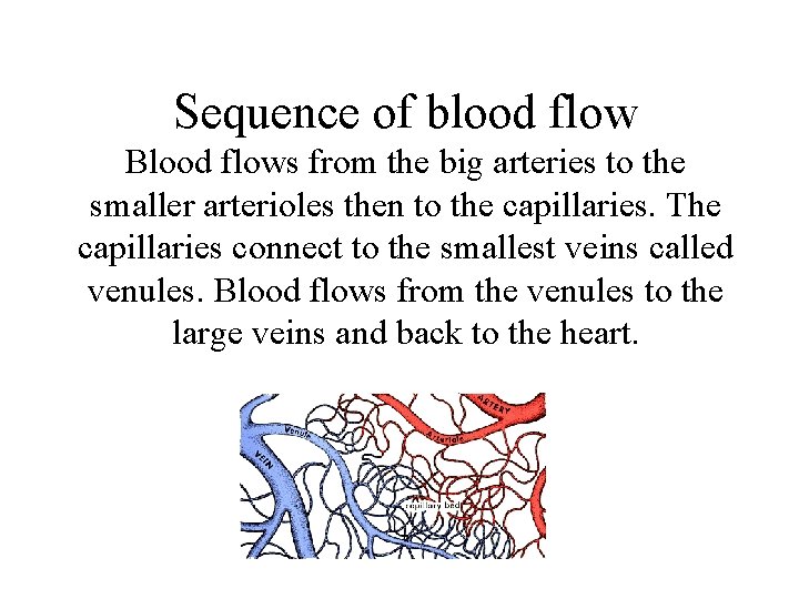 Sequence of blood flow Blood flows from the big arteries to the smaller arterioles