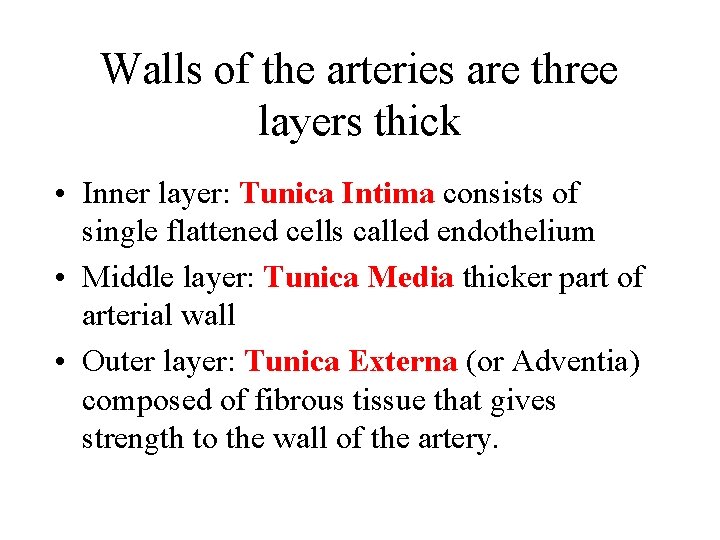 Walls of the arteries are three layers thick • Inner layer: Tunica Intima consists