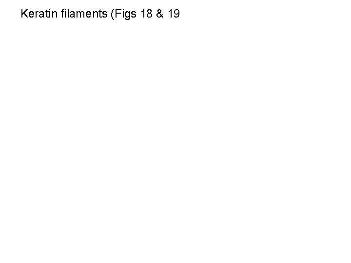Keratin filaments (Figs 18 & 19 