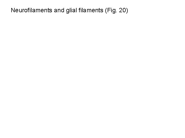 Neurofilaments and glial filaments (Fig. 20) 