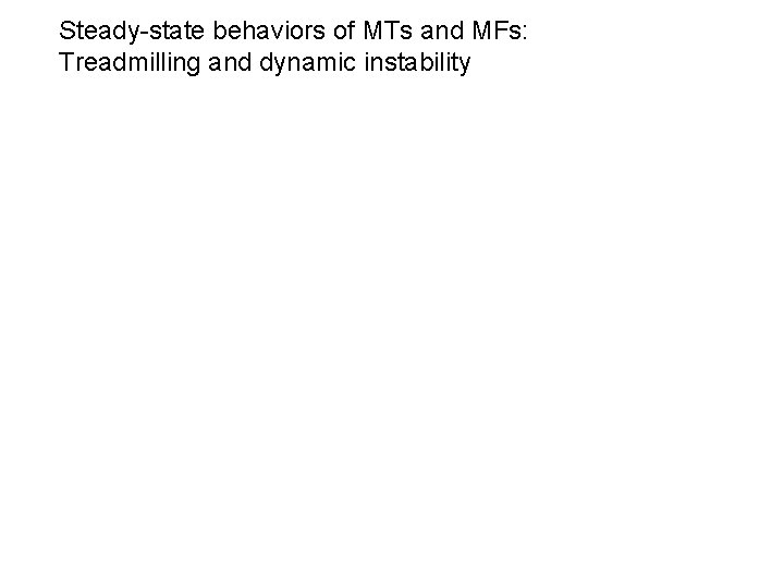 Steady-state behaviors of MTs and MFs: Treadmilling and dynamic instability 