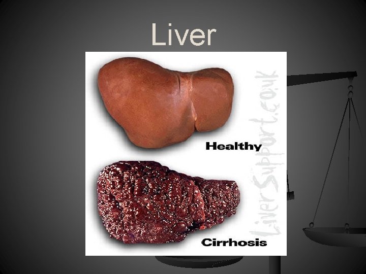 Liver 