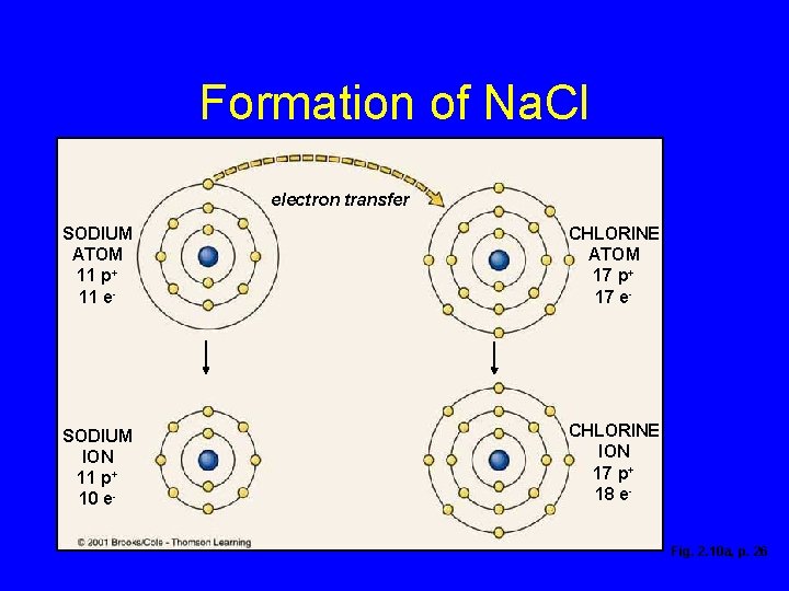 Formation of Na. Cl 7 mm electron transfer SODIUM ATOM 11 p+ 11 e-