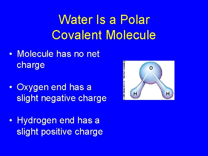 Water Is a Polar Covalent Molecule • Molecule has no net charge • Oxygen