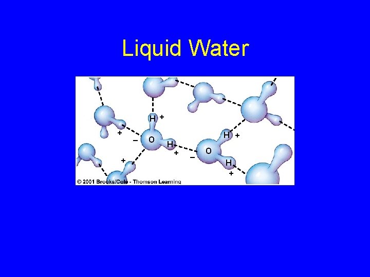 Liquid Water H + + + _ O H H + + _ O
