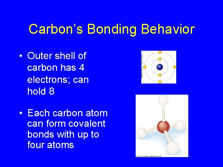 Carbon’s Bonding Behavior • Outer shell of carbon has 4 electrons; can hold 8