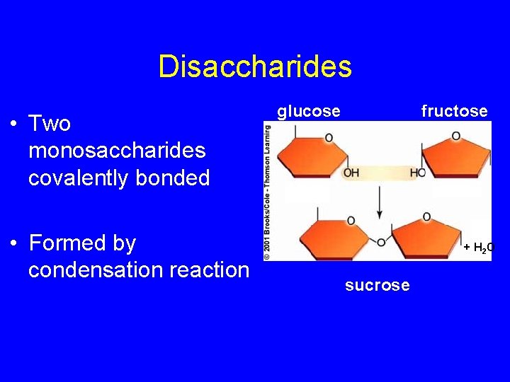 Disaccharides • Two monosaccharides covalently bonded • Formed by condensation reaction glucose fructose +