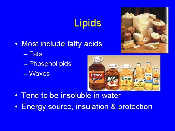 Lipids • Most include fatty acids – Fats – Phospholipids – Waxes • Tend