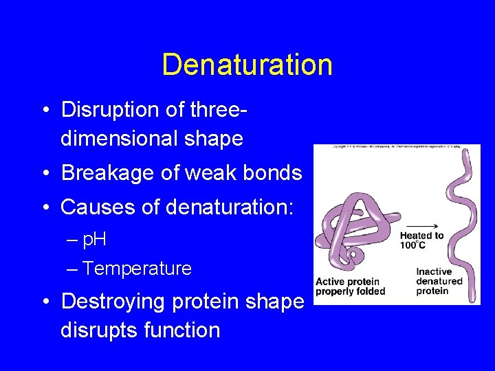 Denaturation • Disruption of threedimensional shape • Breakage of weak bonds • Causes of