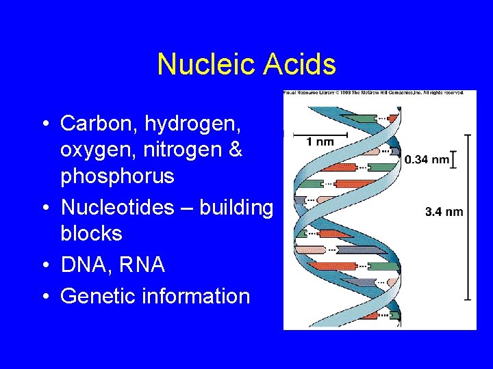 Nucleic Acids • Carbon, hydrogen, oxygen, nitrogen & phosphorus • Nucleotides – building blocks