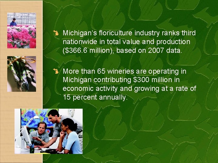 Michigan’s floriculture industry ranks third nationwide in total value and production ($366. 6 million),