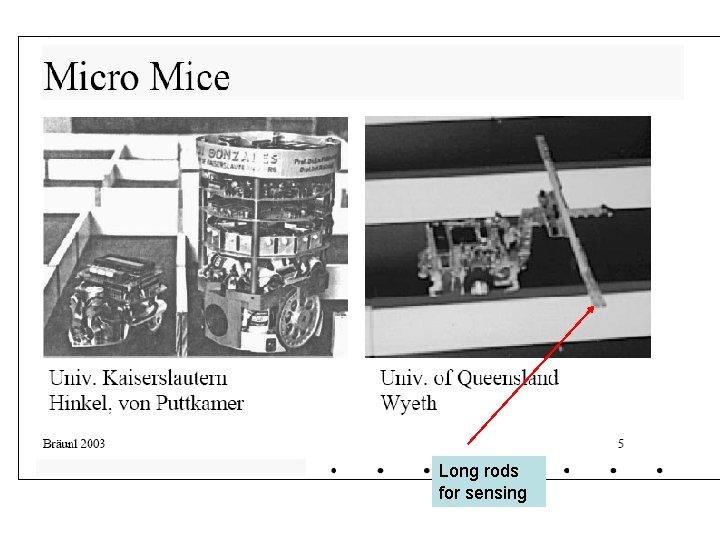 Long rods for sensing 